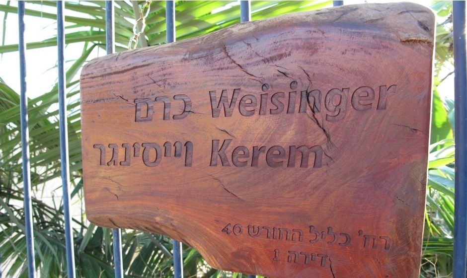 Laser engraving on eucalyptus tree - house entrance sign